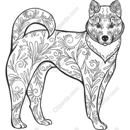 Floral Elegance Dog