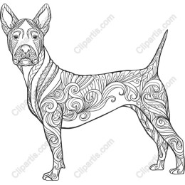 Elegant Bull Terrier with Intricate Patterns