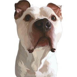 American Bulldog - File