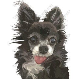 Charming Chihuahua