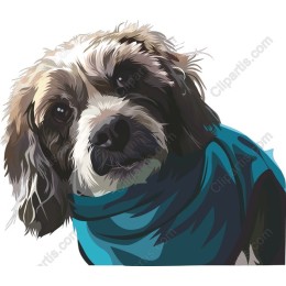 Charming Dog in Scarf