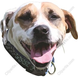 Joyful Dog