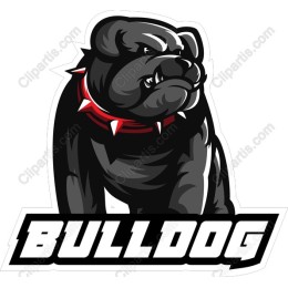 Fierce Bulldog