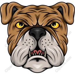 Fierce Bulldog Head