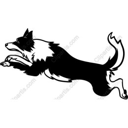 Dynamic Jumping Dog