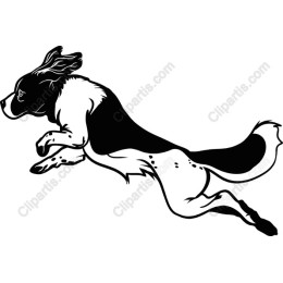 Energetic Leaping Dog
