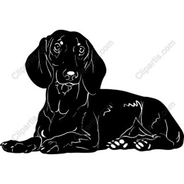 Charming Black Dog