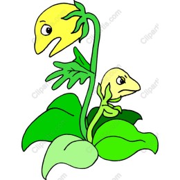 Playful Plants