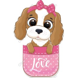 Cute Puppy in Pocket