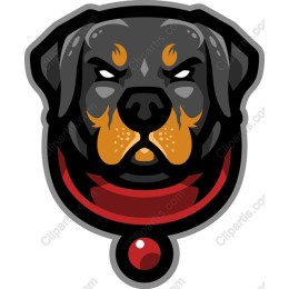 Fierce Rottweiler