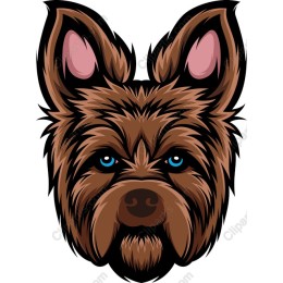 Charming Canine Companion