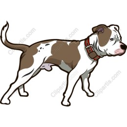 Charming Dog