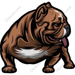 Bulldog