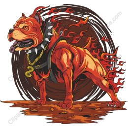 Flaming Pit Bull