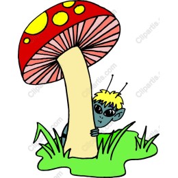 Mushroom Guardian