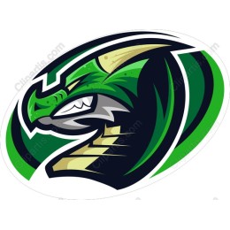 Green Dragon Mascot