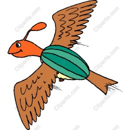 Flying Dreamer