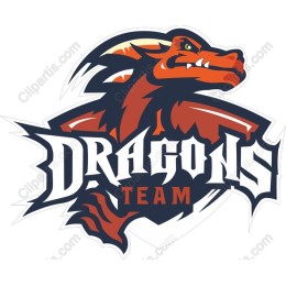 Dynamic Dragons Team