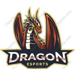 Dragon Esports