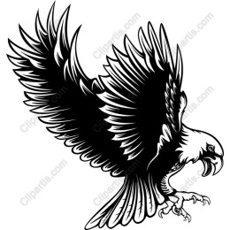 Majestic Eagle