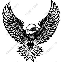 Majestic Eagle