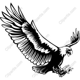 Majestic Eagle