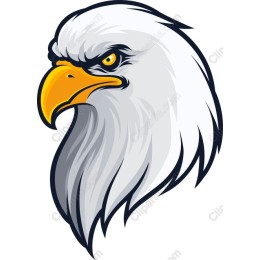 Majestic Eagle Head