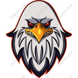 Fierce Eagle Head