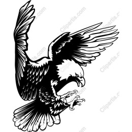 Majestic Soaring Eagle