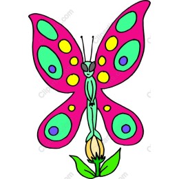 Whimsical Butterfly Fairy