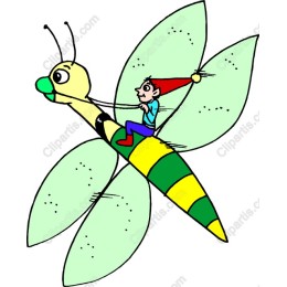 Whimsical Gnome on Dragonfly