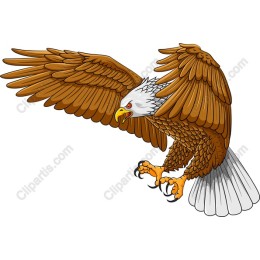Majestic Eagle