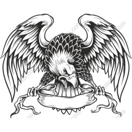 Majestic Eagle