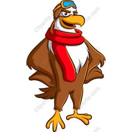 Stylish Pilot Bird