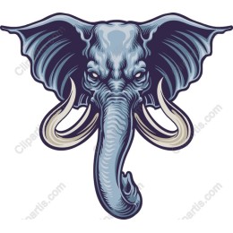 Majestic Elephant Head