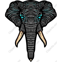 Elephant Head