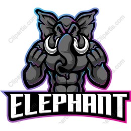 Dynamic Elephant