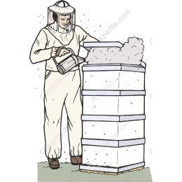 Beekeeper in Action