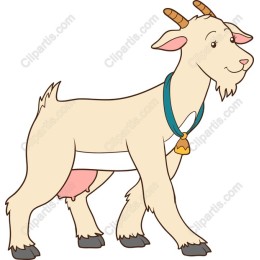 Friendly Goat
