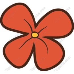 Cheerful Red Flower