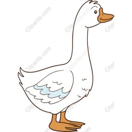 Charming White Duck