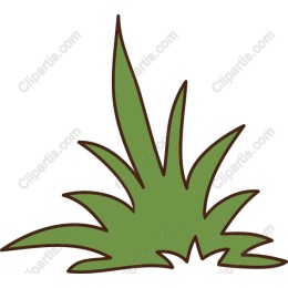 Vibrant Green Grass