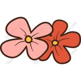 Whimsical Floral Duo