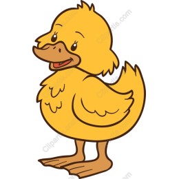 Cute Cartoon Duck