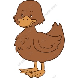 Charming Brown Duck Cartoon