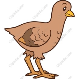 Charming Brown Bird
