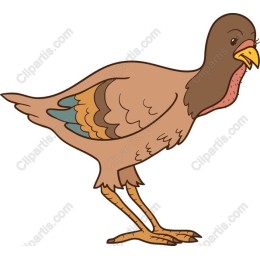 Charming Whimsical Bird