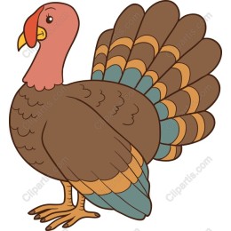 Whimsical Turkey