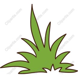 Lush Grass