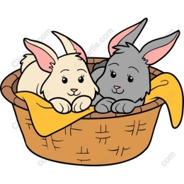 Bunny Basket